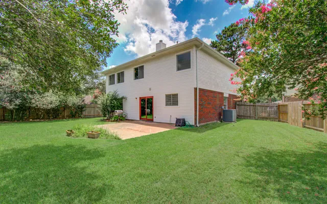 a view of a backyard with plants and large tree