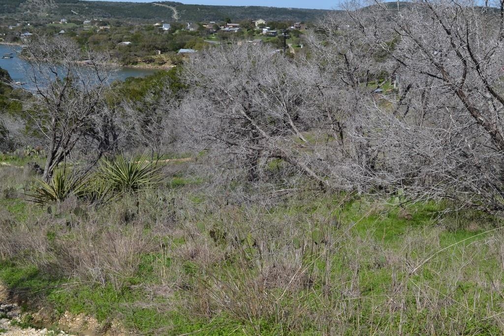 Lot 324 Lookback Street Burnet, TX 78611 - Photo 2 of 3 a view of a yard with a tree