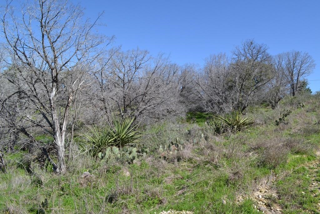 Lot 324 Lookback Street Burnet, TX 78611 - Photo 3 of 3 a view of a plants in a field