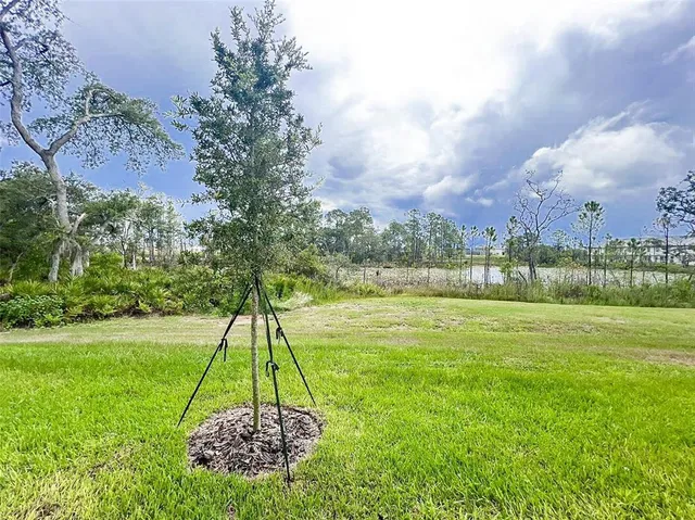 a view of a golf course