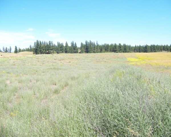 2000 North Hayford Road Spokane, WA 99224 - Photo 1 of 1
