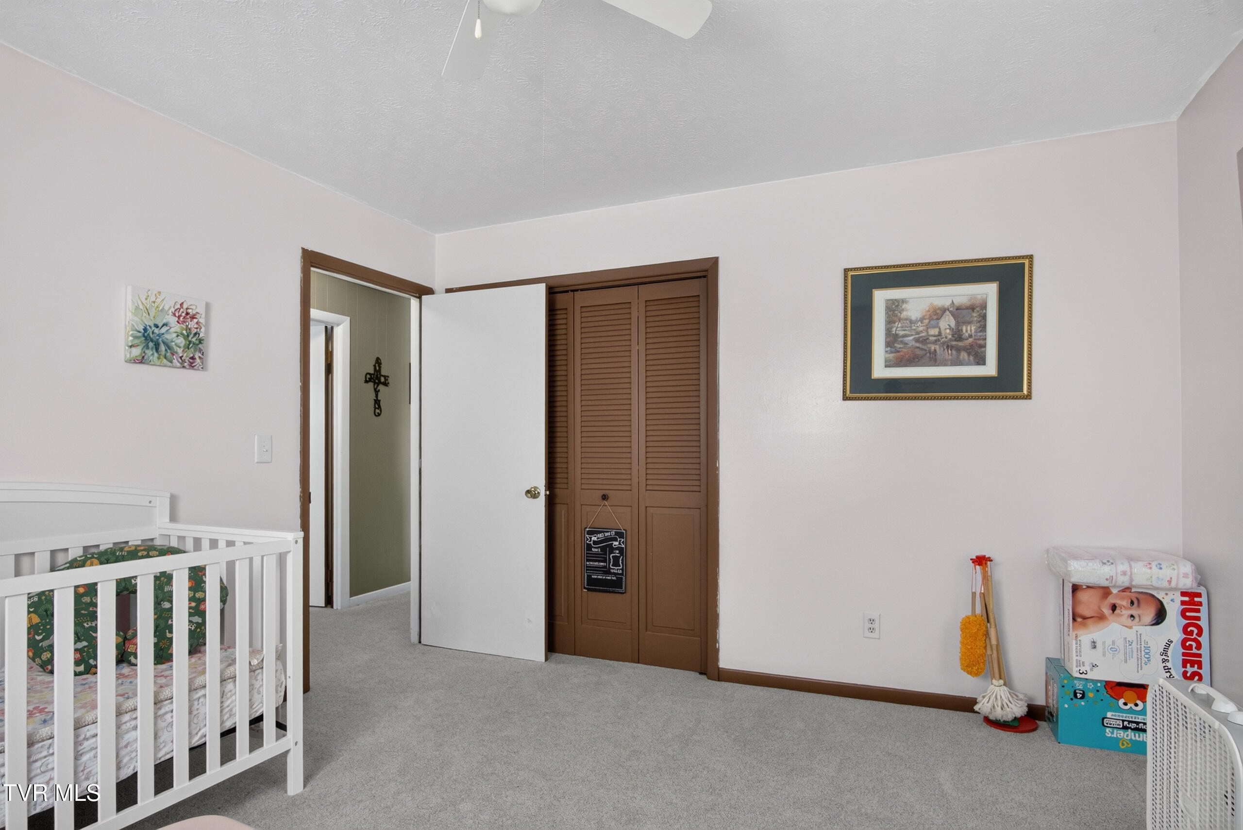 6196 Poplar Springs Road Greeneville, TN 37743 - Photo 19 of 59 DSC00793