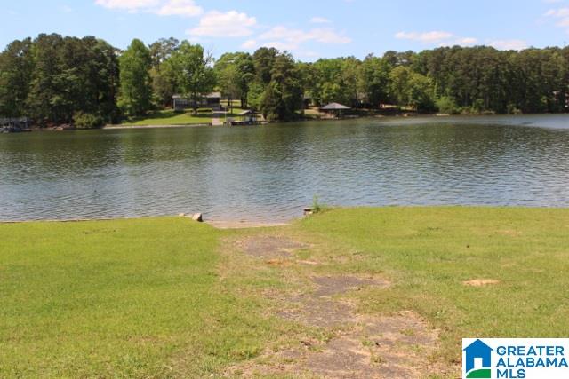 520 Rabbit Point Road Cropwell, AL 35054 - Photo 4 of 38