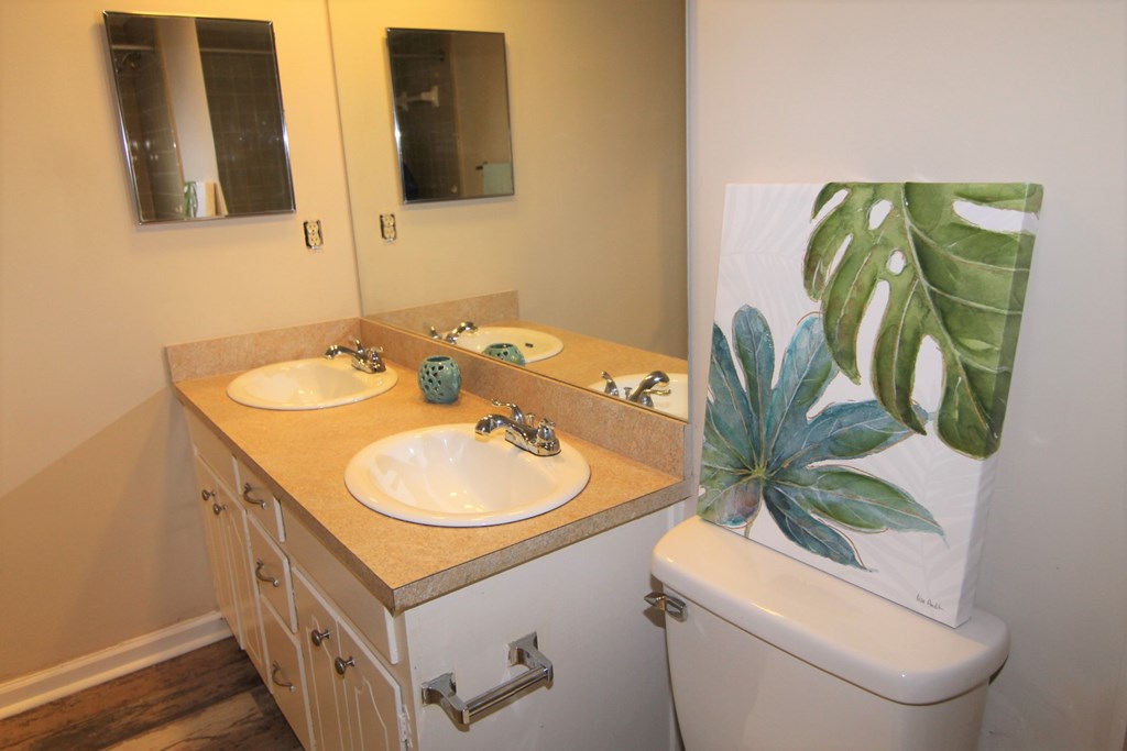 4814 Roxbury Drive Columbus, GA 31907 - Photo 8 of 15 Hall Bathroom