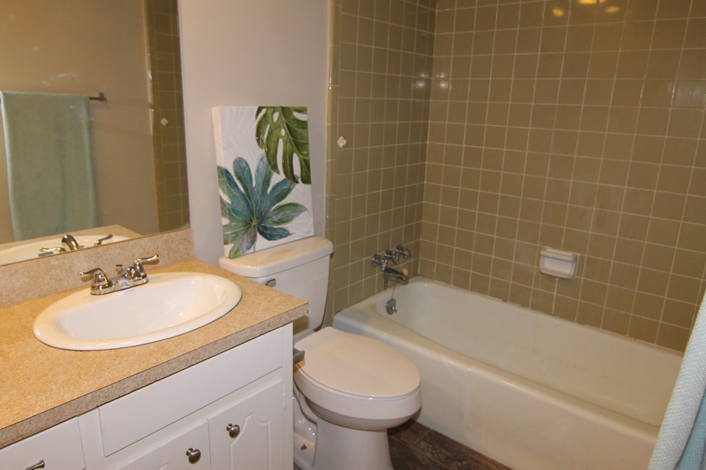4814 Roxbury Drive Columbus, GA 31907 - Photo 9 of 15 Hall Bathroom