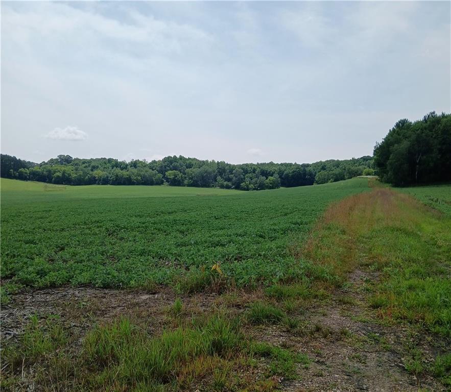 E20785 Karow Road Augusta, WI 54722 - Photo 1 of 1 Gallery Image 1