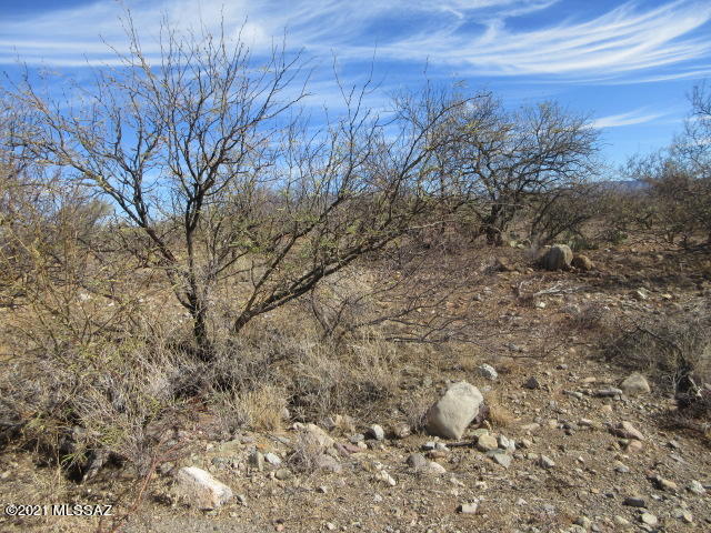 1874 Circulo Glorieta, Unit 301 Rio Rico, AZ 85648 - Photo 2 of 16