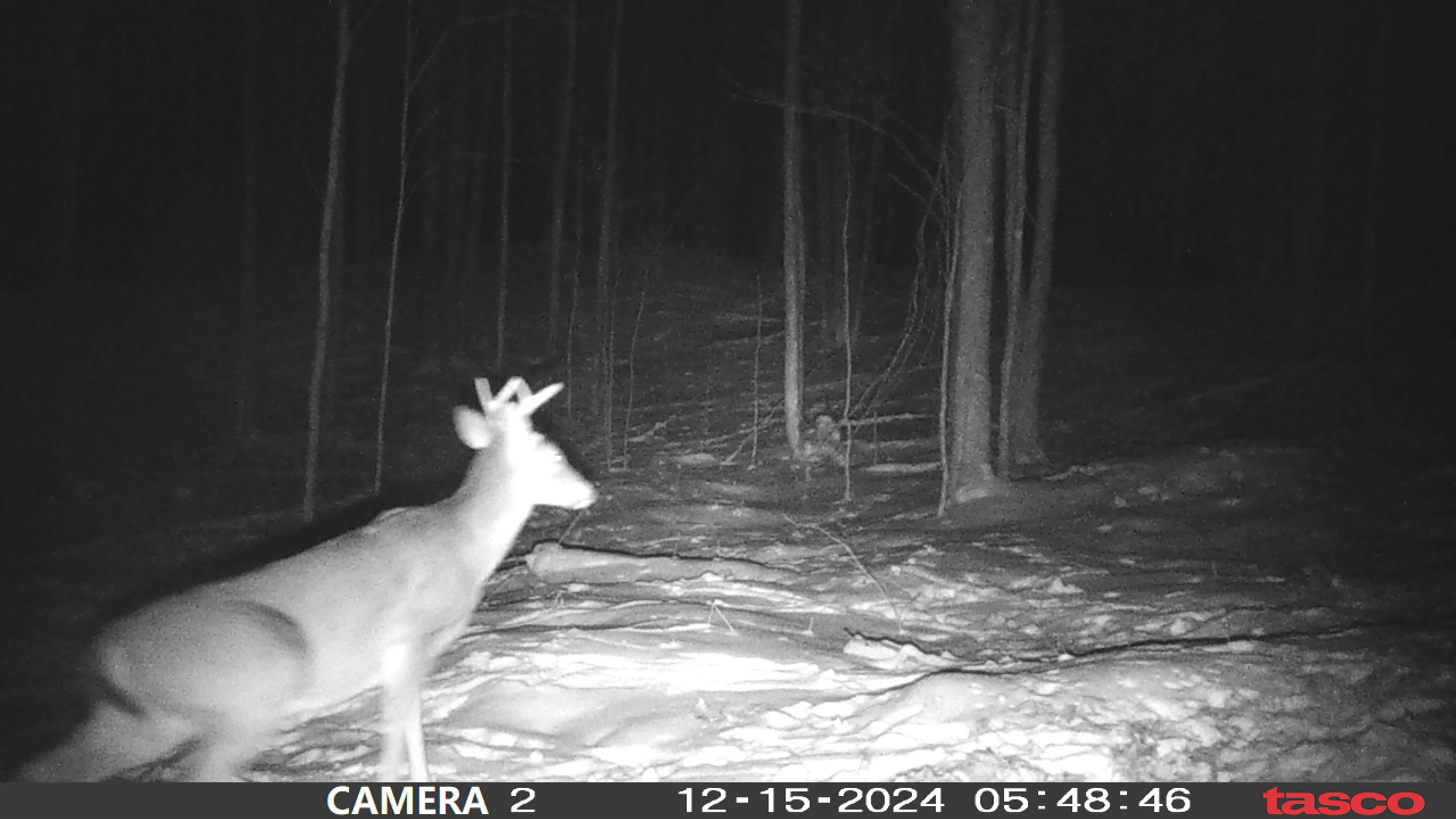 47 South 47 3/4 Road Cadillac, MI 49601 - Photo 56 of 59