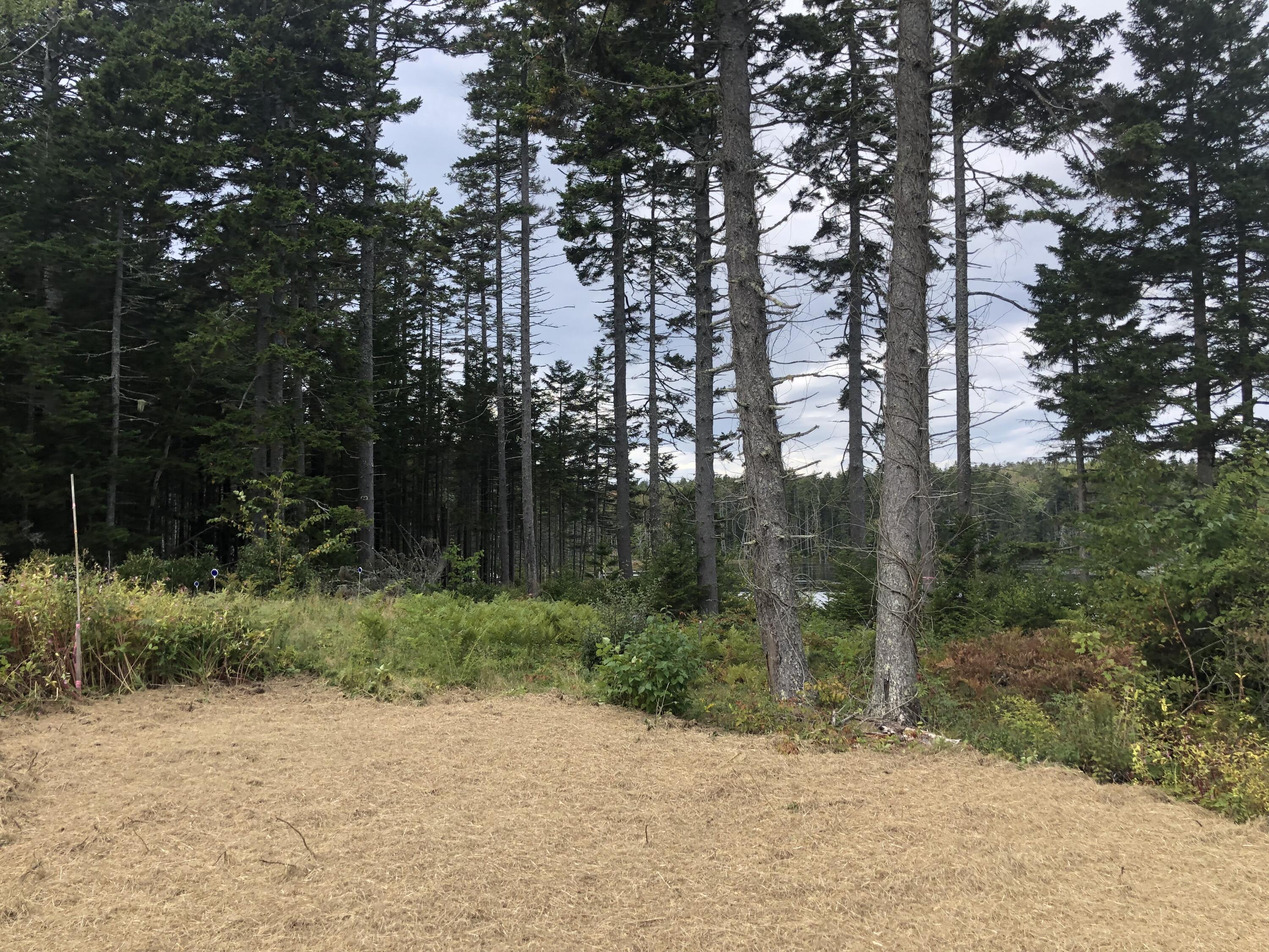 357 Martin Point Road Friendship, ME 04547 - Photo 17 of 24 IMG_0517