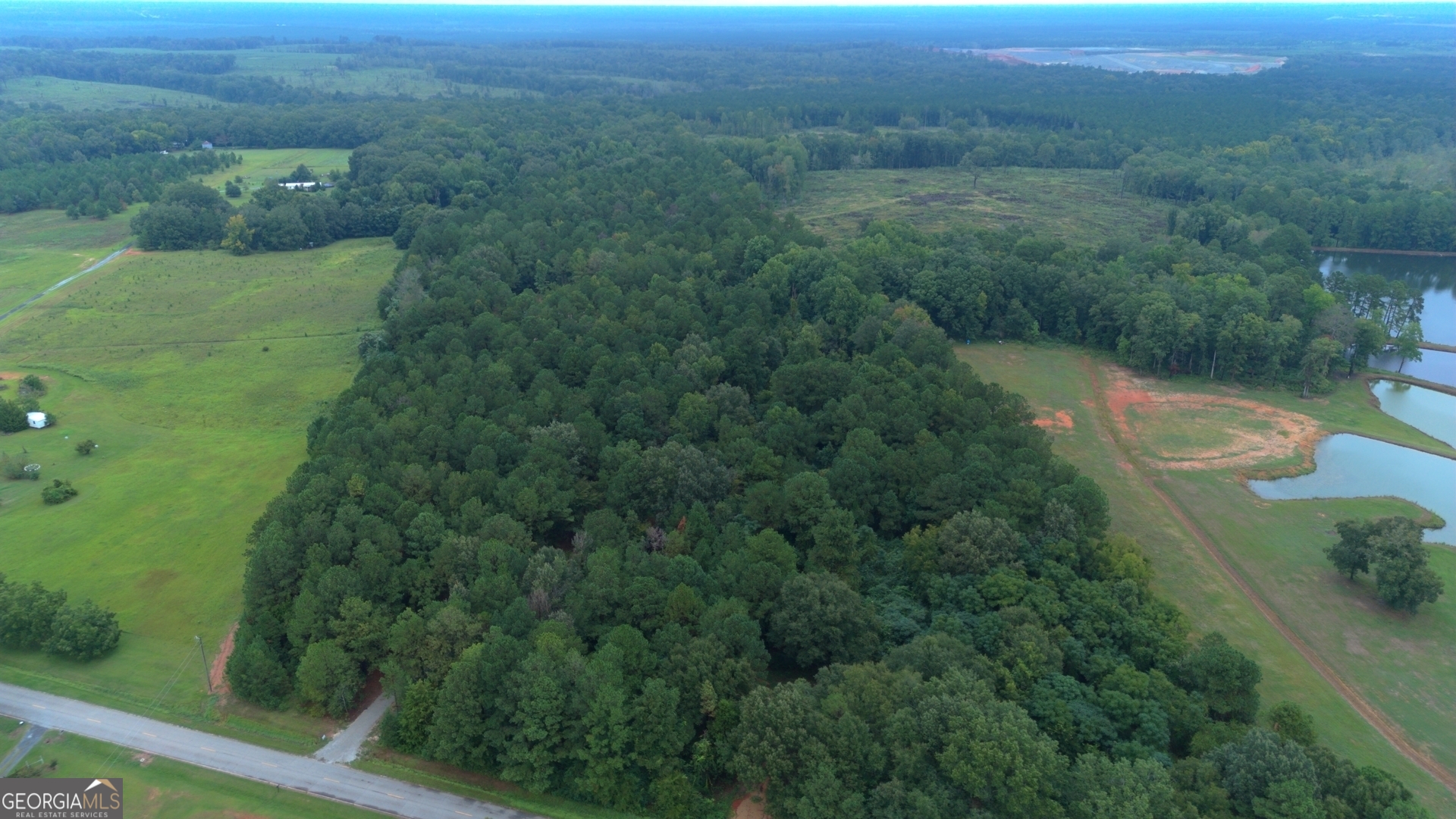 0 Grovania Road Hawkinsville, GA 31025 - Photo 7 of 20