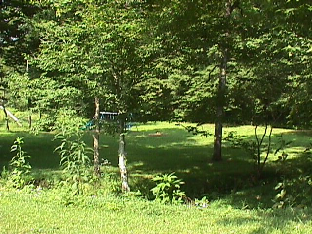 233 Prince Lane Rising Fawn, GA 30738 - Photo 2 of 3 Additional Photo
