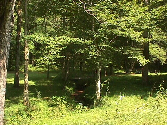 233 Prince Lane Rising Fawn, GA 30738 - Photo 3 of 3 Additional Photo