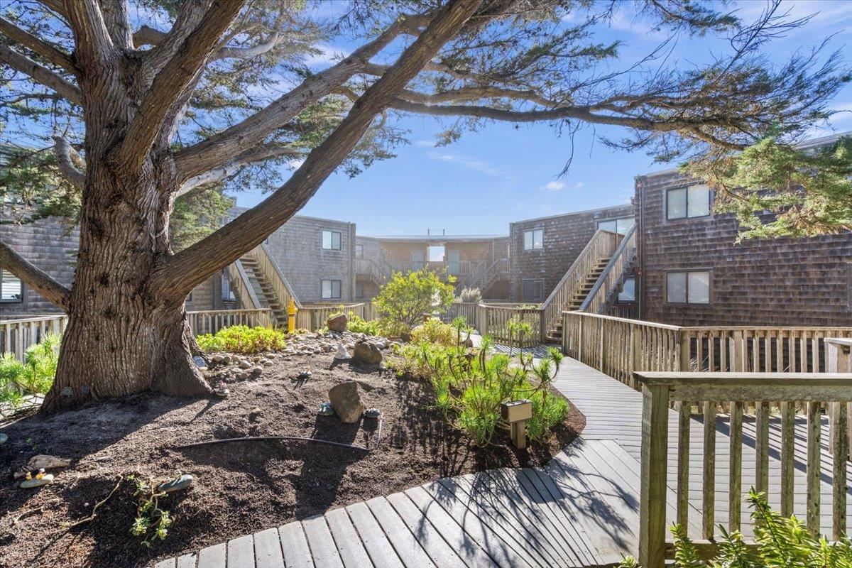101 Shell Road, Unit 211 Watsonville, CA 95076 - Photo 7 of 29 a view of balcony with outdoor seating and plants