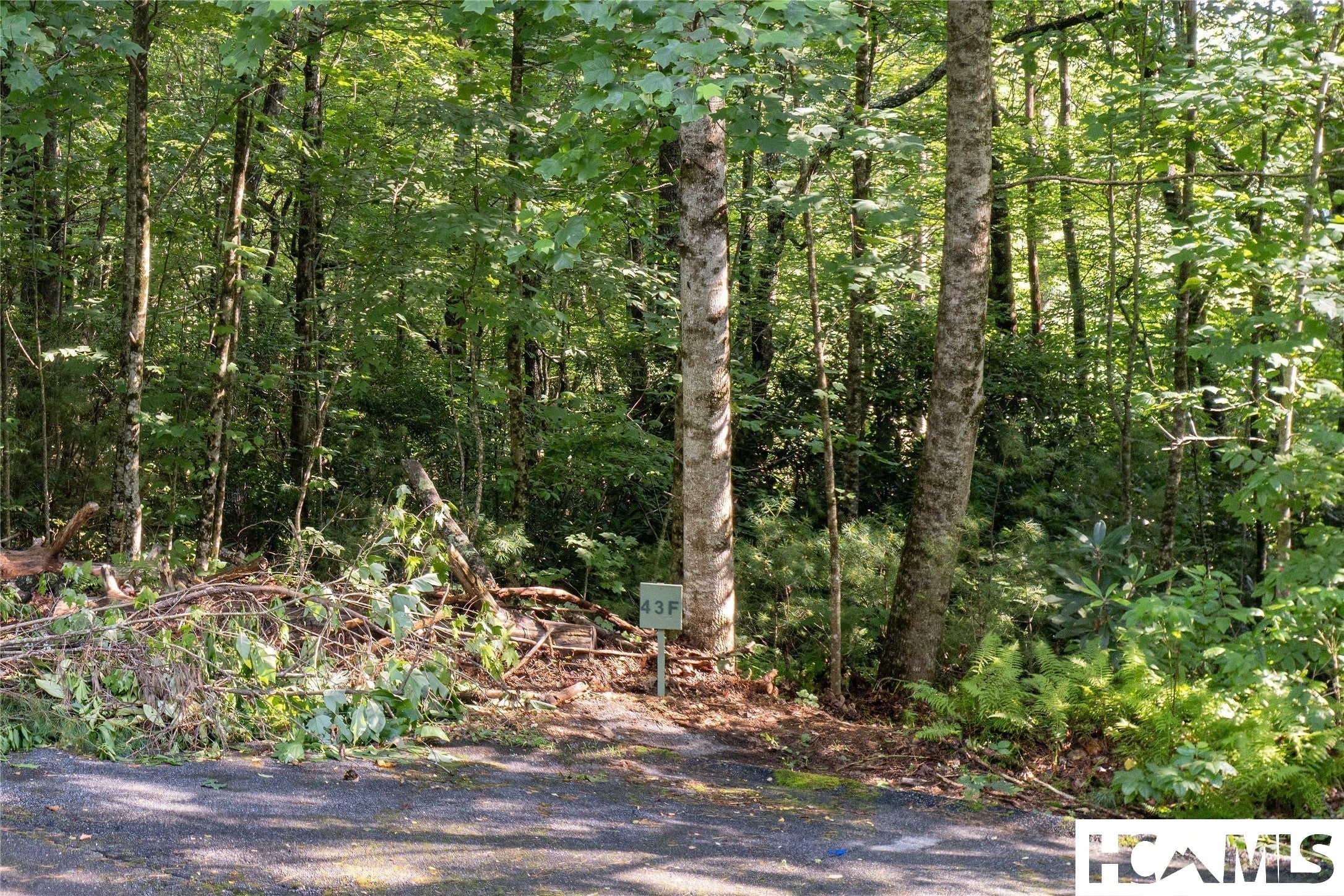 43-fr Running Fox Road Sapphire, NC 28774 - Photo 9 of 48 Gallery Image 9