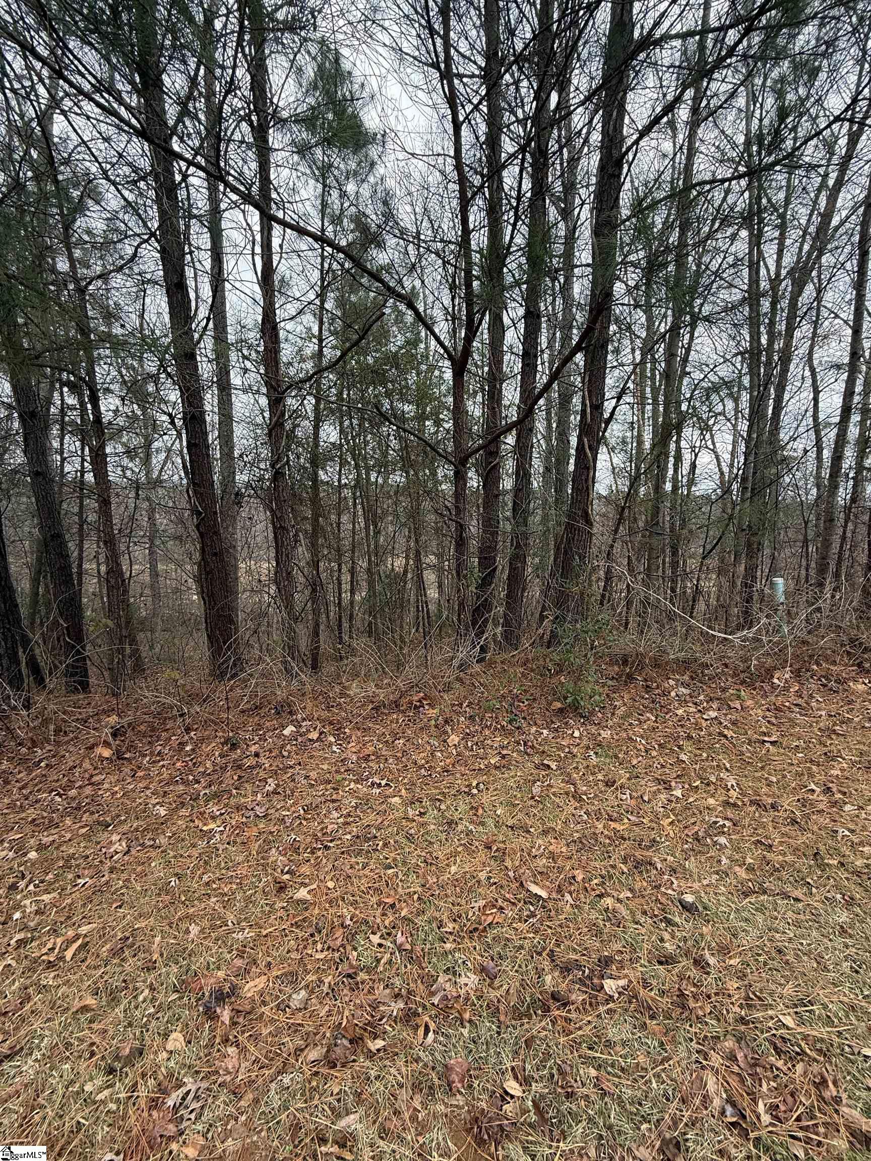 208 Wedge Way Travelers Rest, SC 29690 - Photo 2 of 5