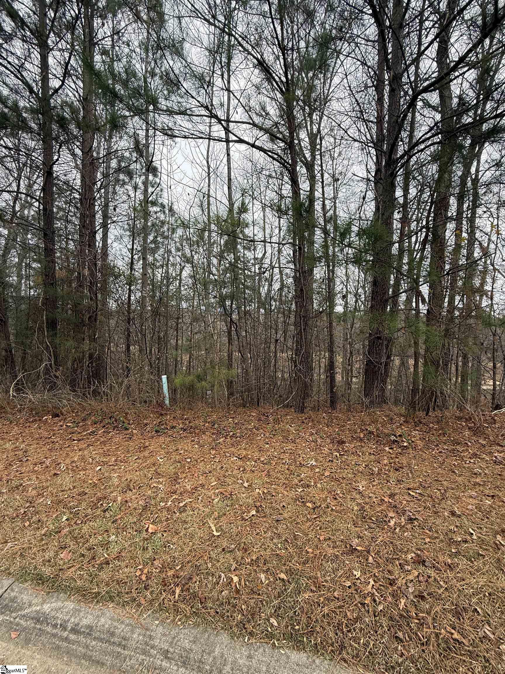 208 Wedge Way Travelers Rest, SC 29690 - Photo 3 of 5