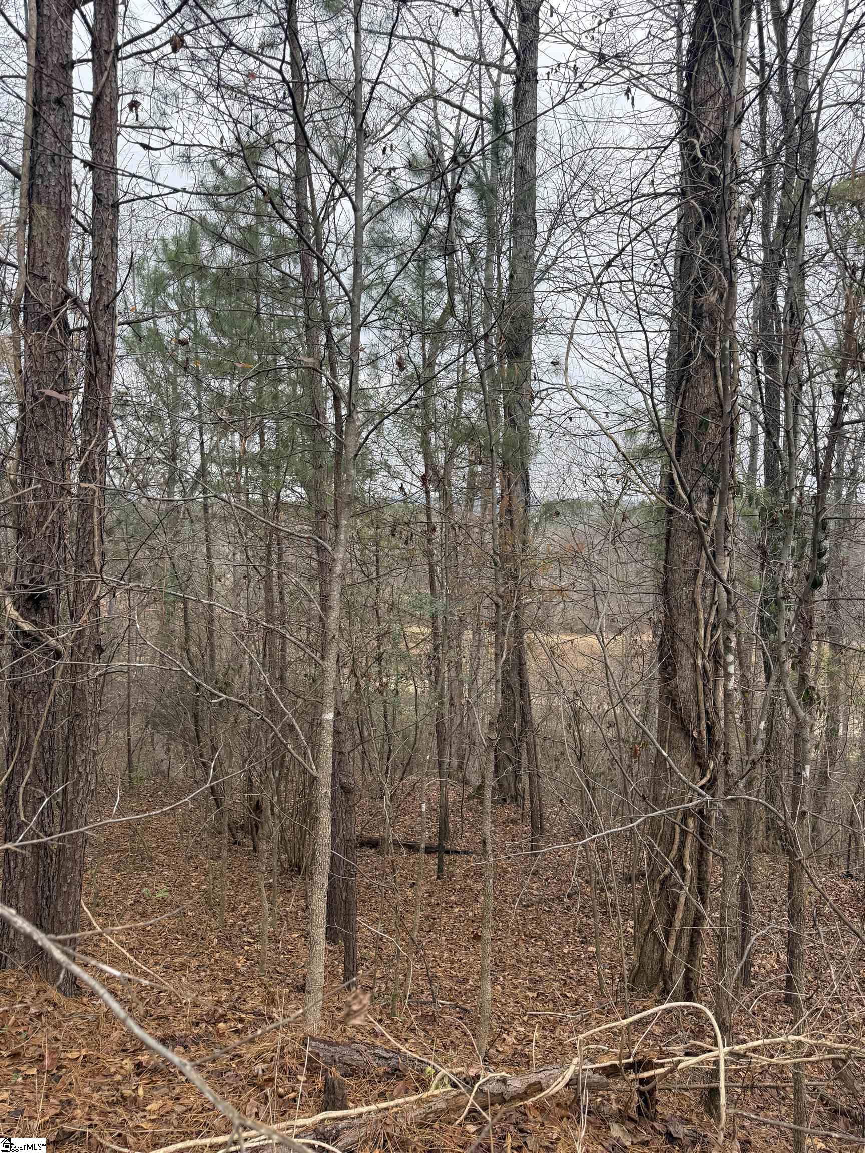 208 Wedge Way Travelers Rest, SC 29690 - Photo 4 of 5