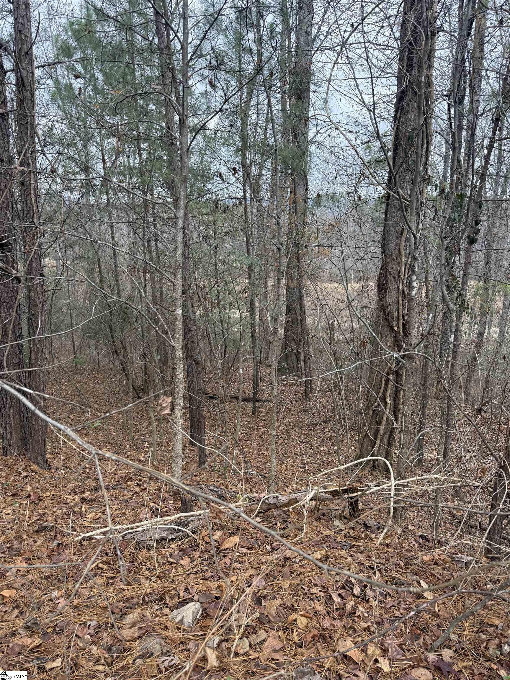 208 Wedge Way Travelers Rest, SC 29690 - Photo 5 of 5