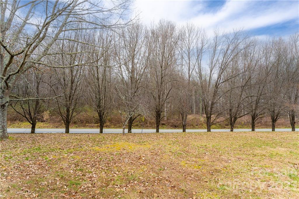 711 Crest Road Flat Rock, NC 28731 - Photo 5 of 36 Gallery Image 5