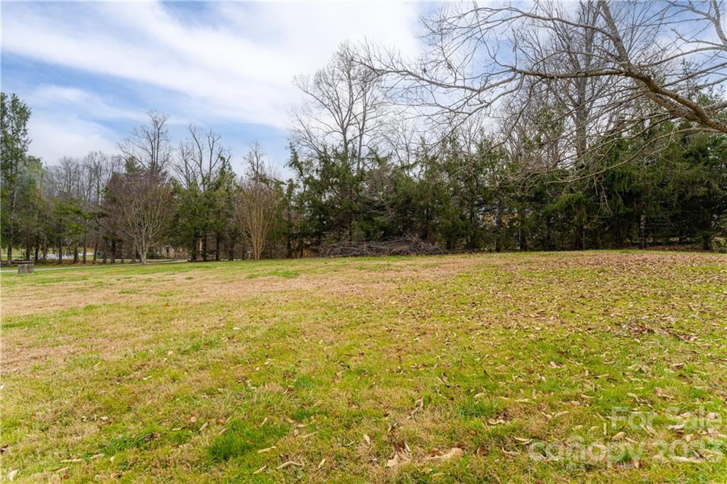 711 Crest Road Flat Rock, NC 28731 - Photo 8 of 36 Gallery Image 8