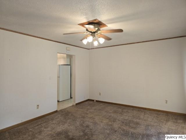 222 North Madison Street Carthage, IL 62321 - Photo 2 of 23