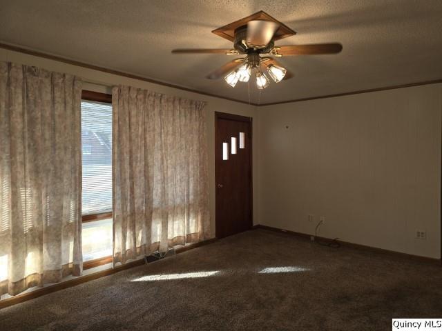 222 North Madison Street Carthage, IL 62321 - Photo 3 of 23