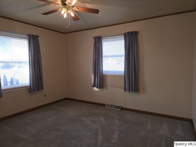 222 North Madison Street Carthage, IL 62321 - Photo 4 of 23