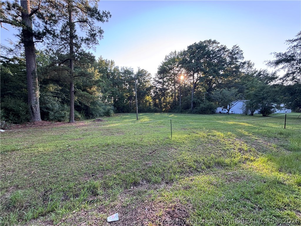 595 Shaw Road St. Pauls, NC 28384 - Photo 5 of 29