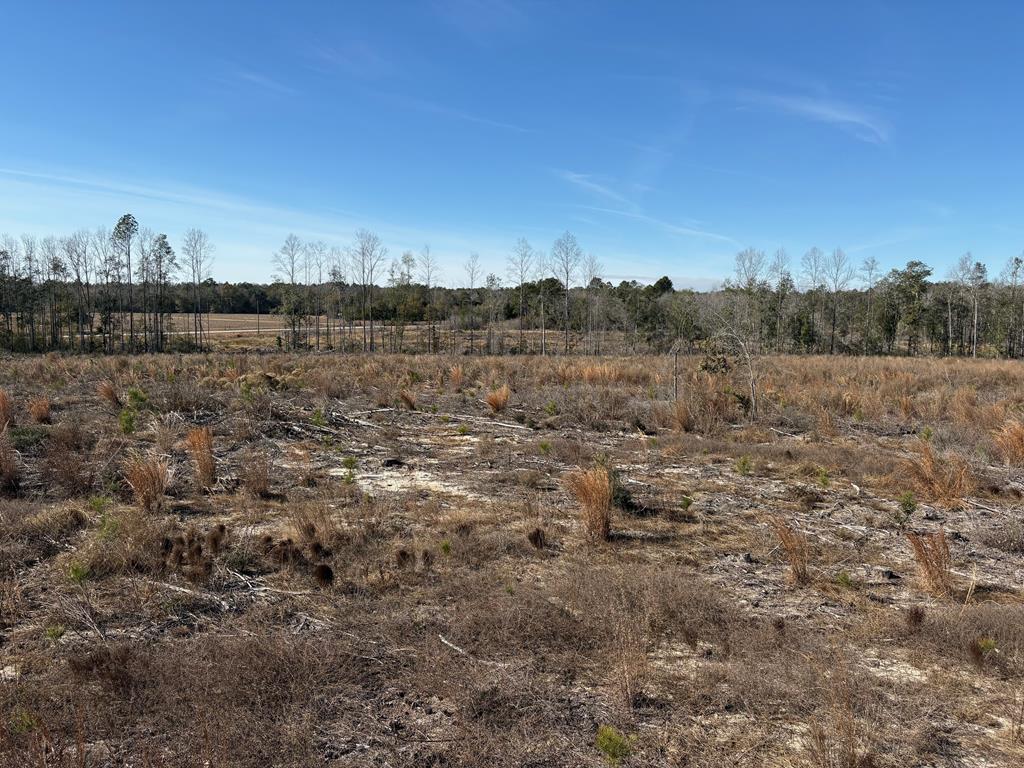 87 Samson Al Samson, AL 36477 - Photo 13 of 22 Parcel "F" west view 2
