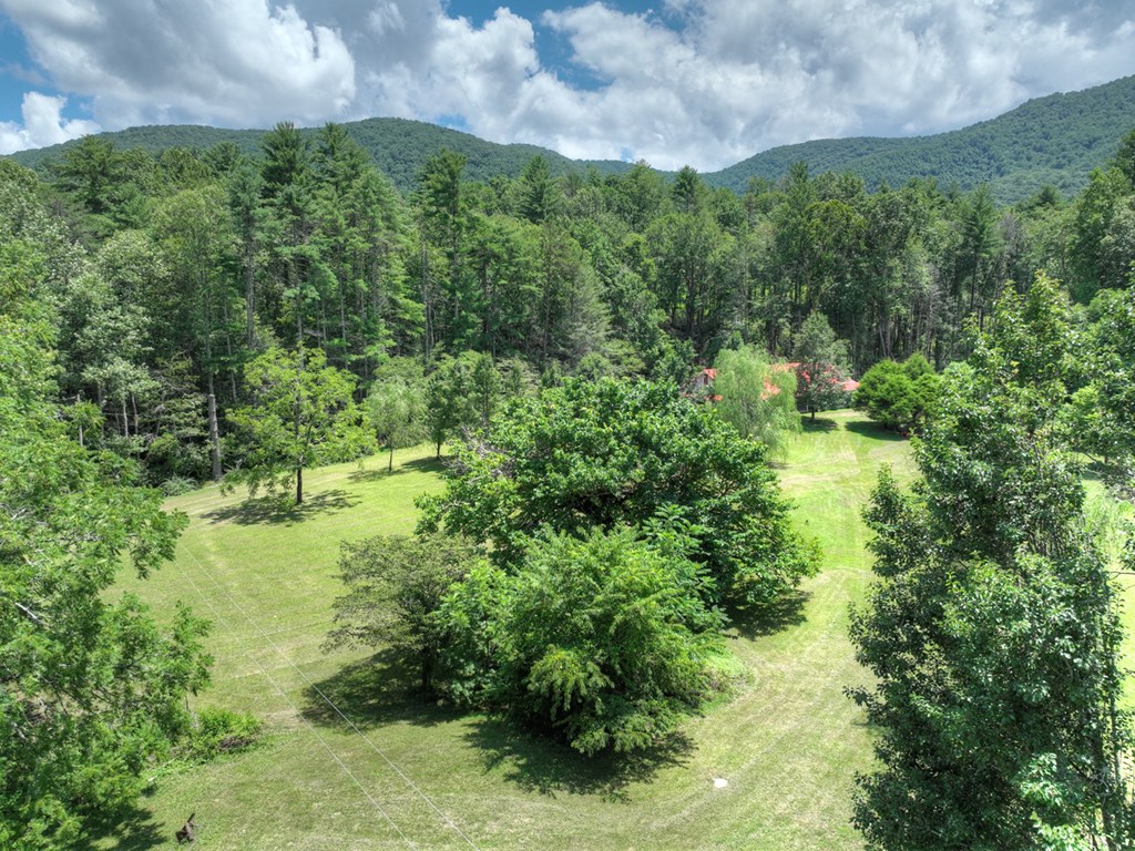 3760 Devils Den Road Epworth, GA 30541 - Photo 4 of 55 Gallery Image 4