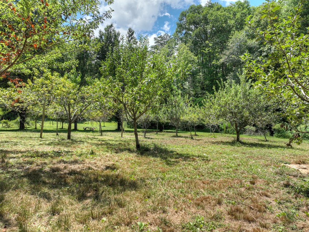 3760 Devils Den Road Epworth, GA 30541 - Photo 41 of 55 Gallery Image 41