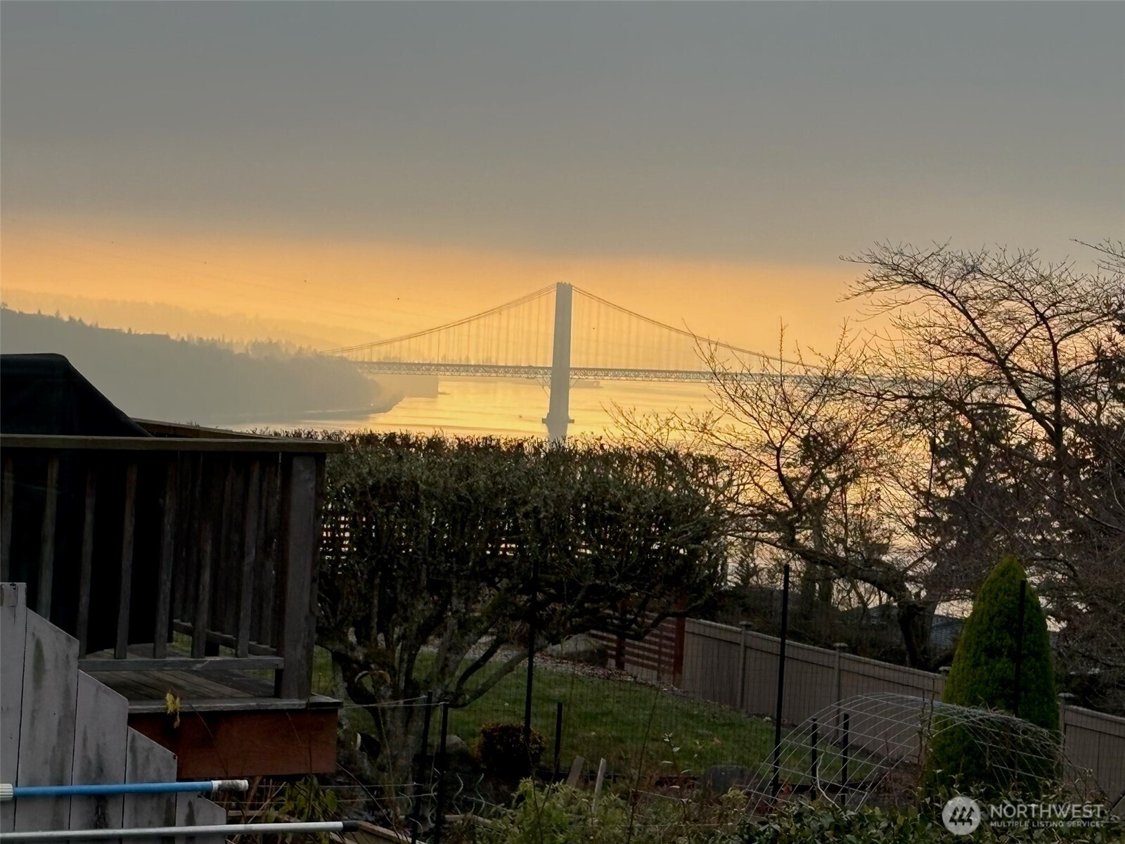 4911 Mildred Street Tacoma, WA 98407 - Photo 4 of 40 a view of a yard