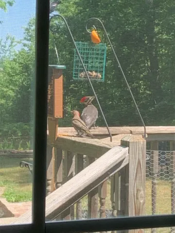 $610,000 | 9 Ross Road, Old Orchard Beach, ME 04064