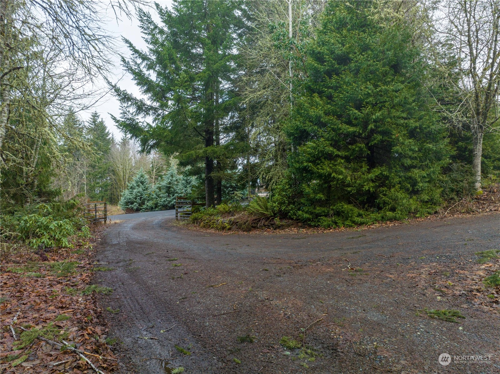 133 Ridgeview Road Chehalis, WA 98532 - Photo 30 of 32 a view of a dirt road with large trees