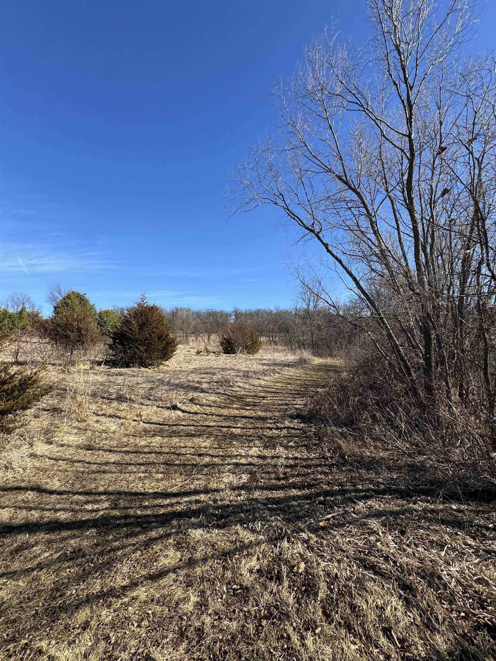 4989 North Ford Road Scales Mound, IL 61075 - Photo 49 of 93