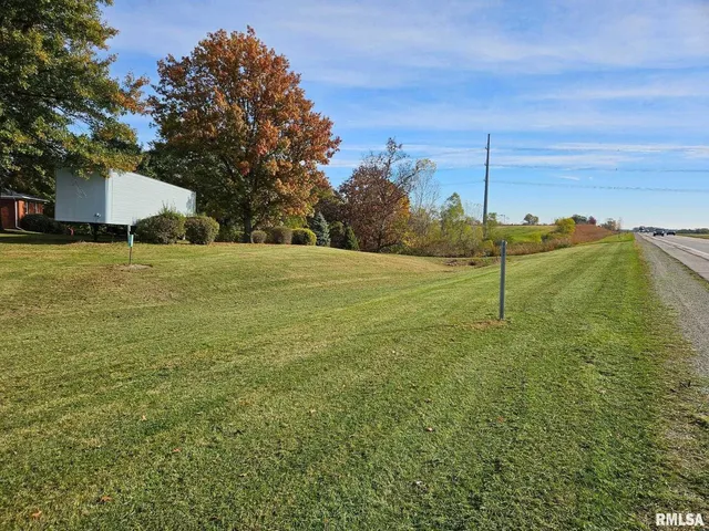 a view of a field with a tree