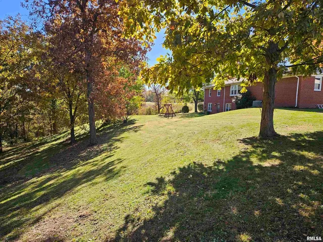 a view of yard with trees