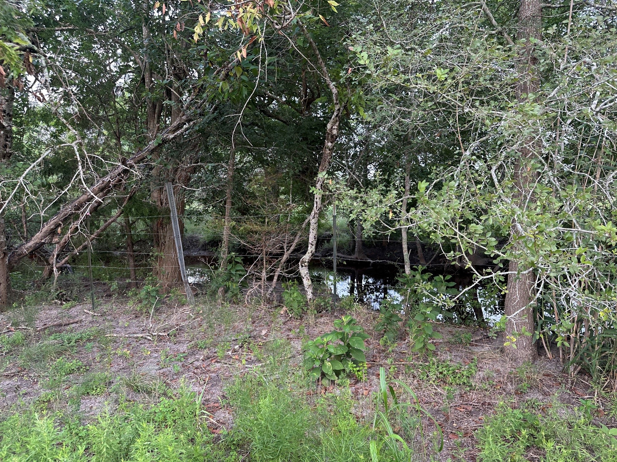 5914 Guettermann Ehler Road Muldoon, TX 78949 - Photo 1 of 11 Gallery Image 1