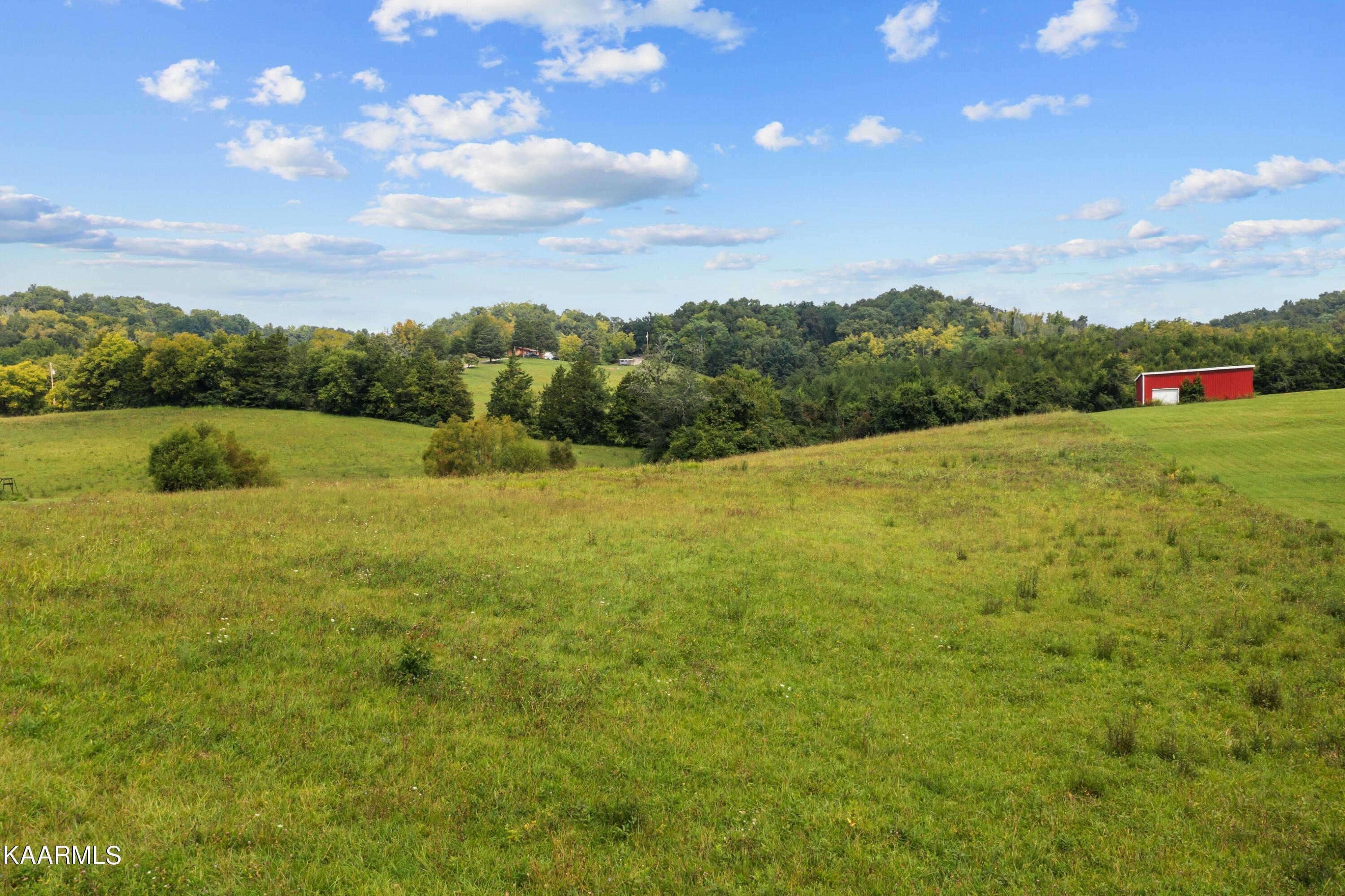 Joe Reed Road Bybee, TN 37713 - Photo 3 of 10 DJI_0229.jpg-SMALL