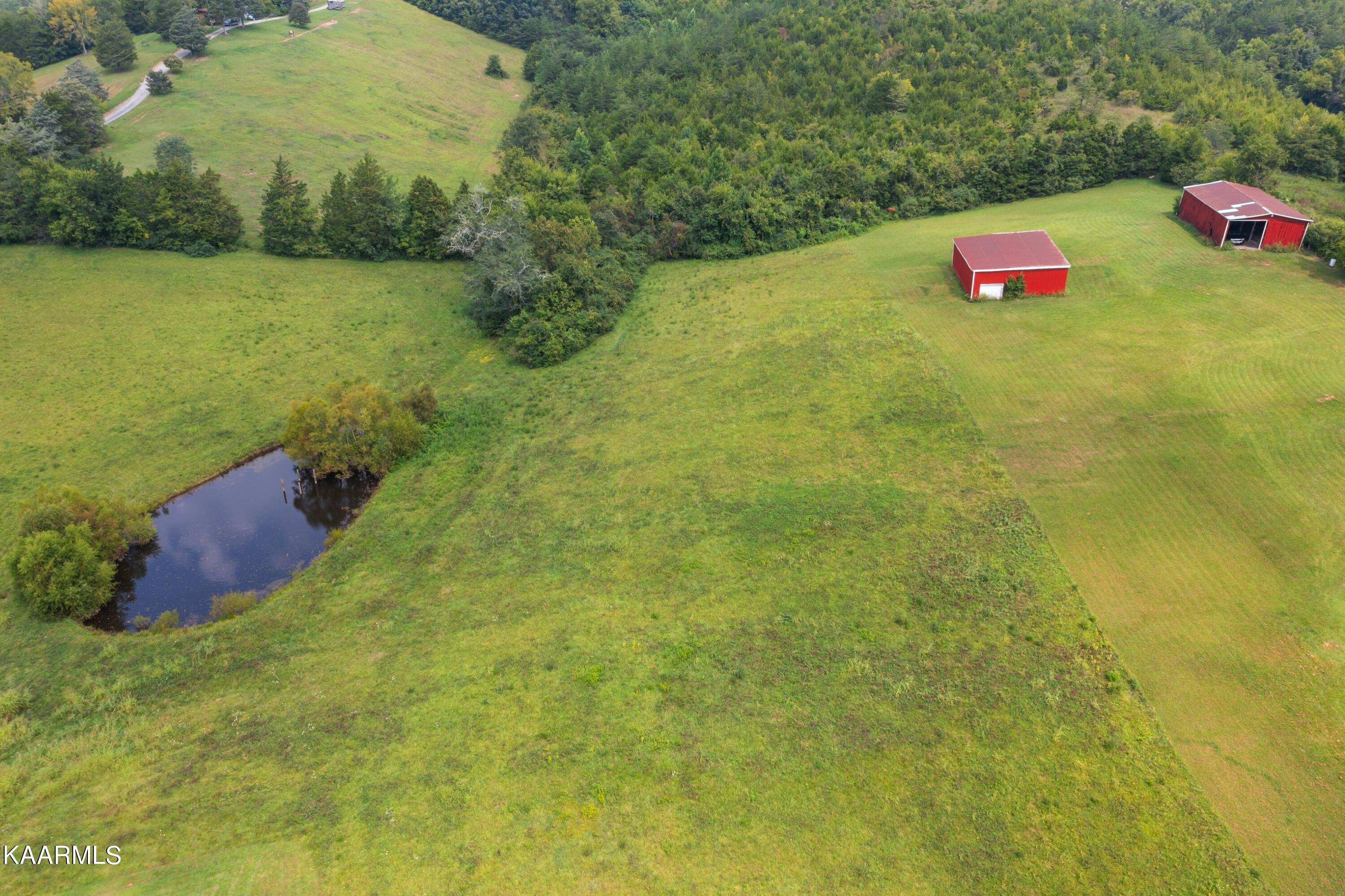Joe Reed Road Bybee, TN 37713 - Photo 5 of 10 DJI_0247.jpg-SMALL