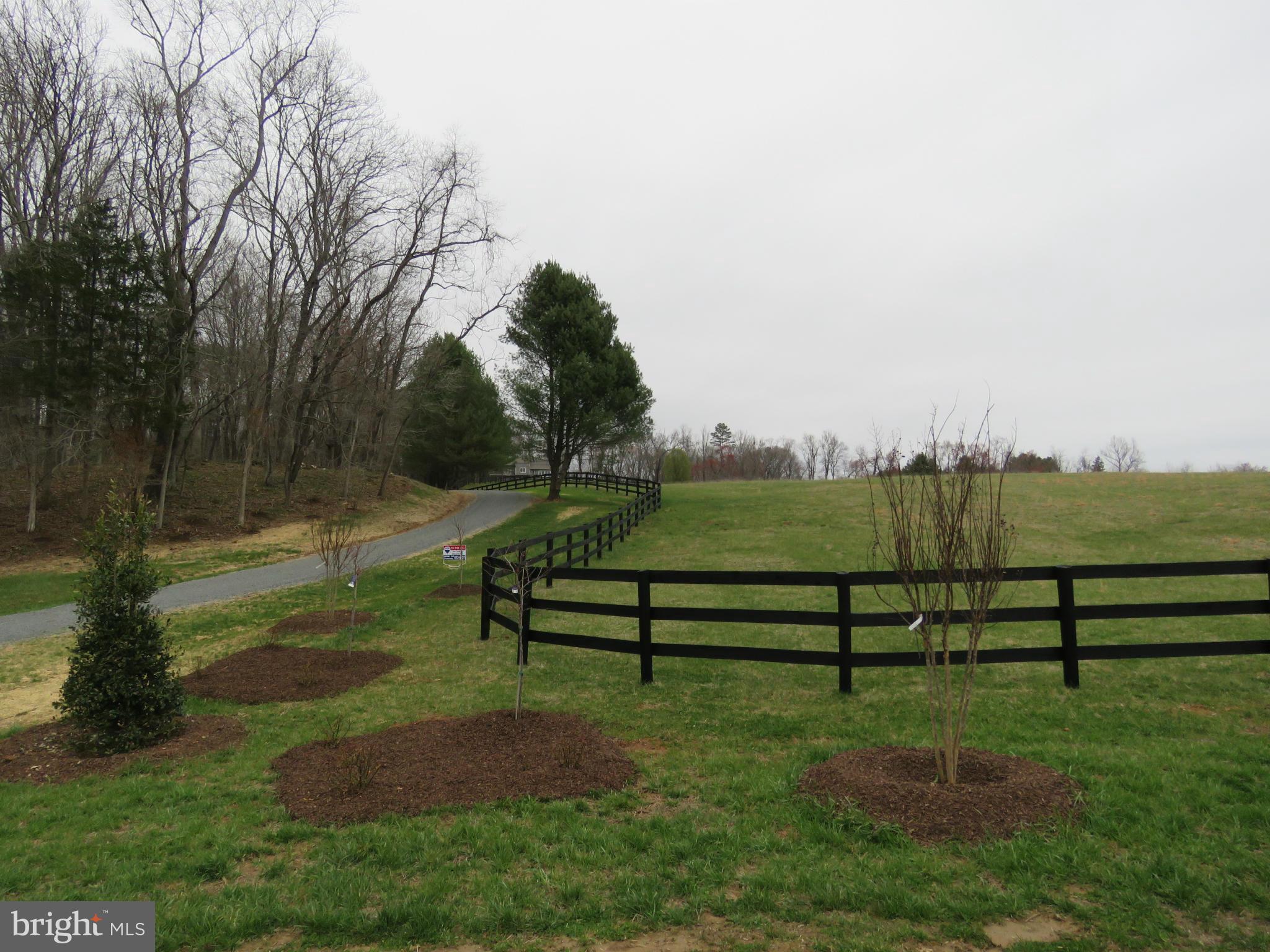 10675 Dutch Hollow Road Rixeyville, VA 22737 - Photo 4 of 30 View