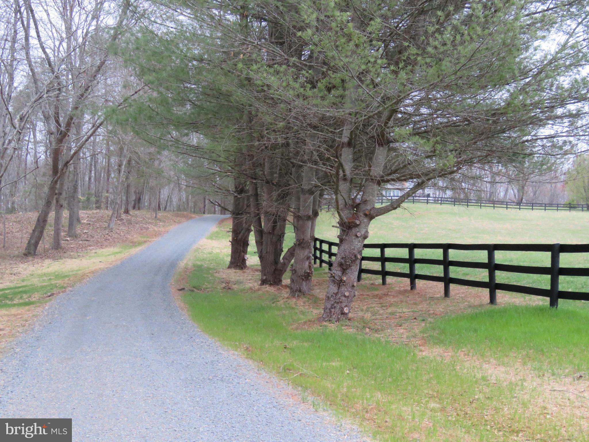 10675 Dutch Hollow Road Rixeyville, VA 22737 - Photo 6 of 30 Exterior (General)