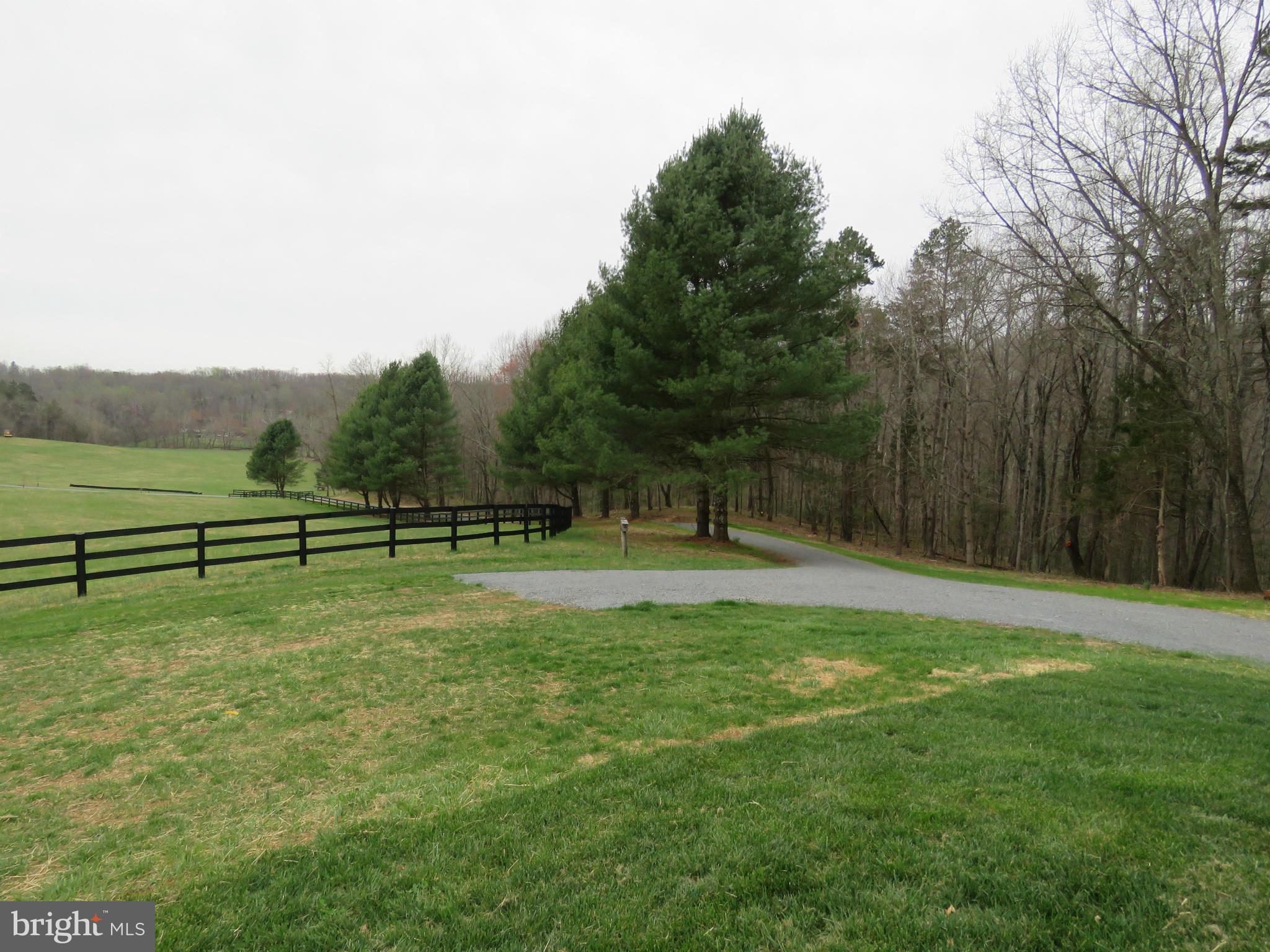 10675 Dutch Hollow Road Rixeyville, VA 22737 - Photo 7 of 30 View