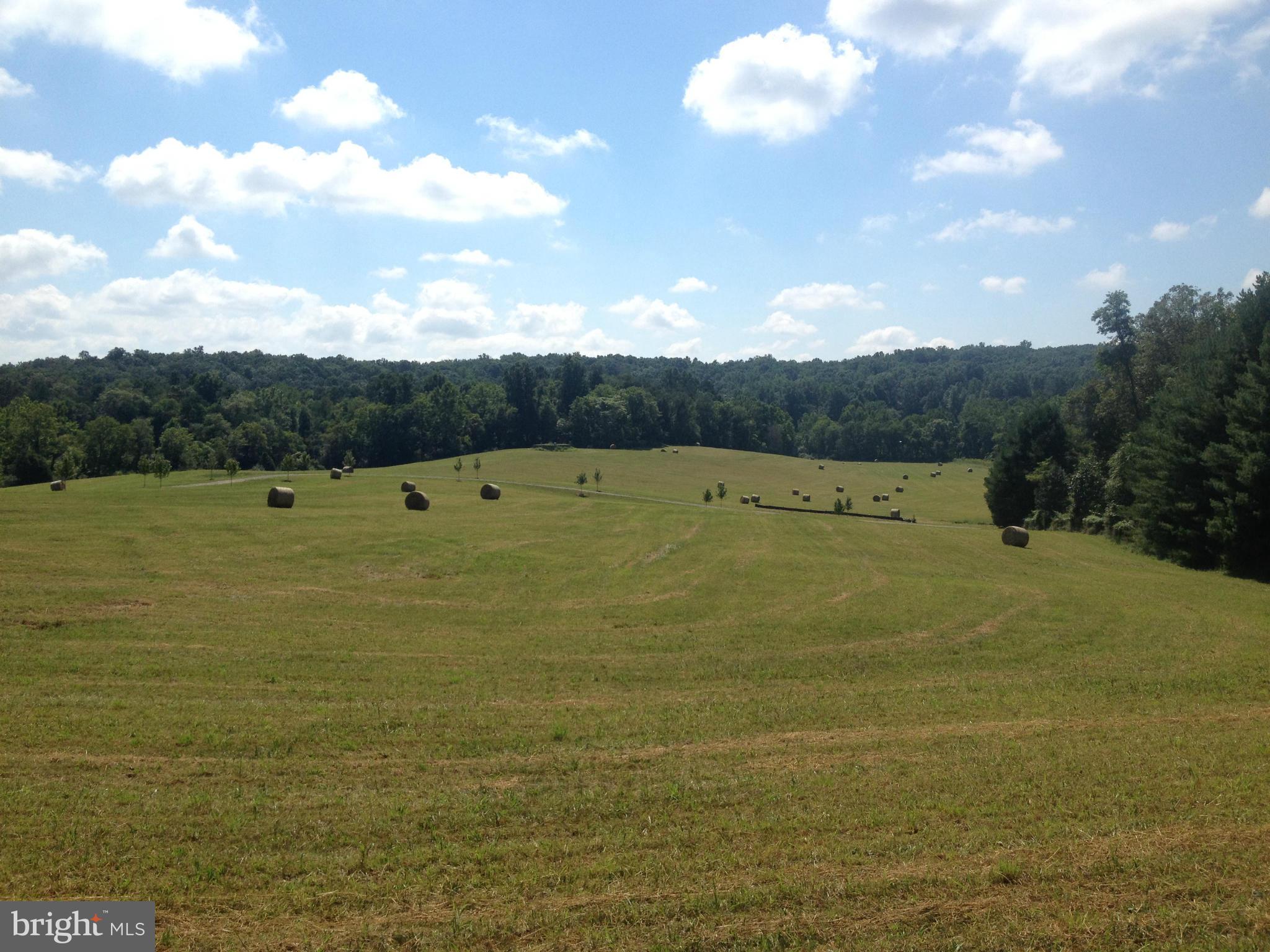 10675 Dutch Hollow Road Rixeyville, VA 22737 - Photo 10 of 30 View