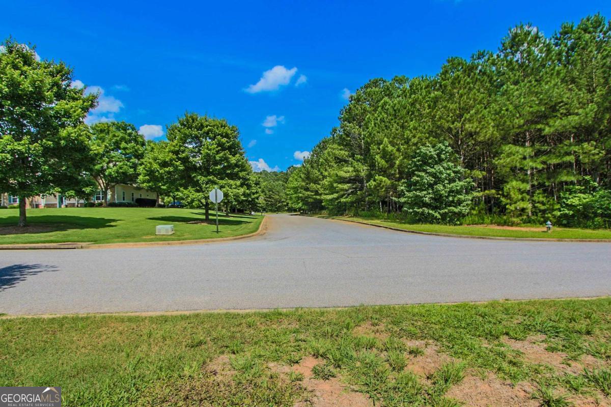 180 Greencastle Road Tyrone, GA 30290 - Photo 3 of 9 a view of a yard with a house