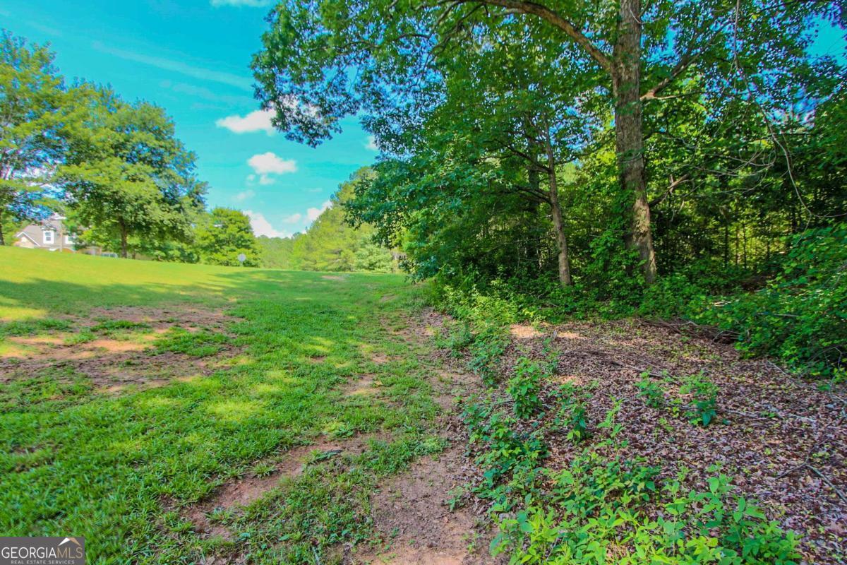 180 Greencastle Road Tyrone, GA 30290 - Photo 5 of 9 a view of yard with green space