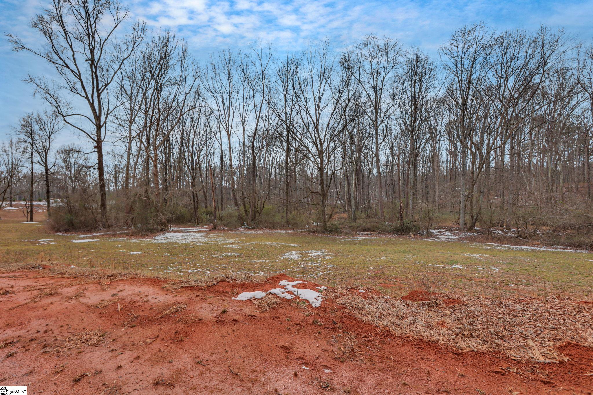 536 Old Mill Road Campobello, SC 29322 - Photo 19 of 47