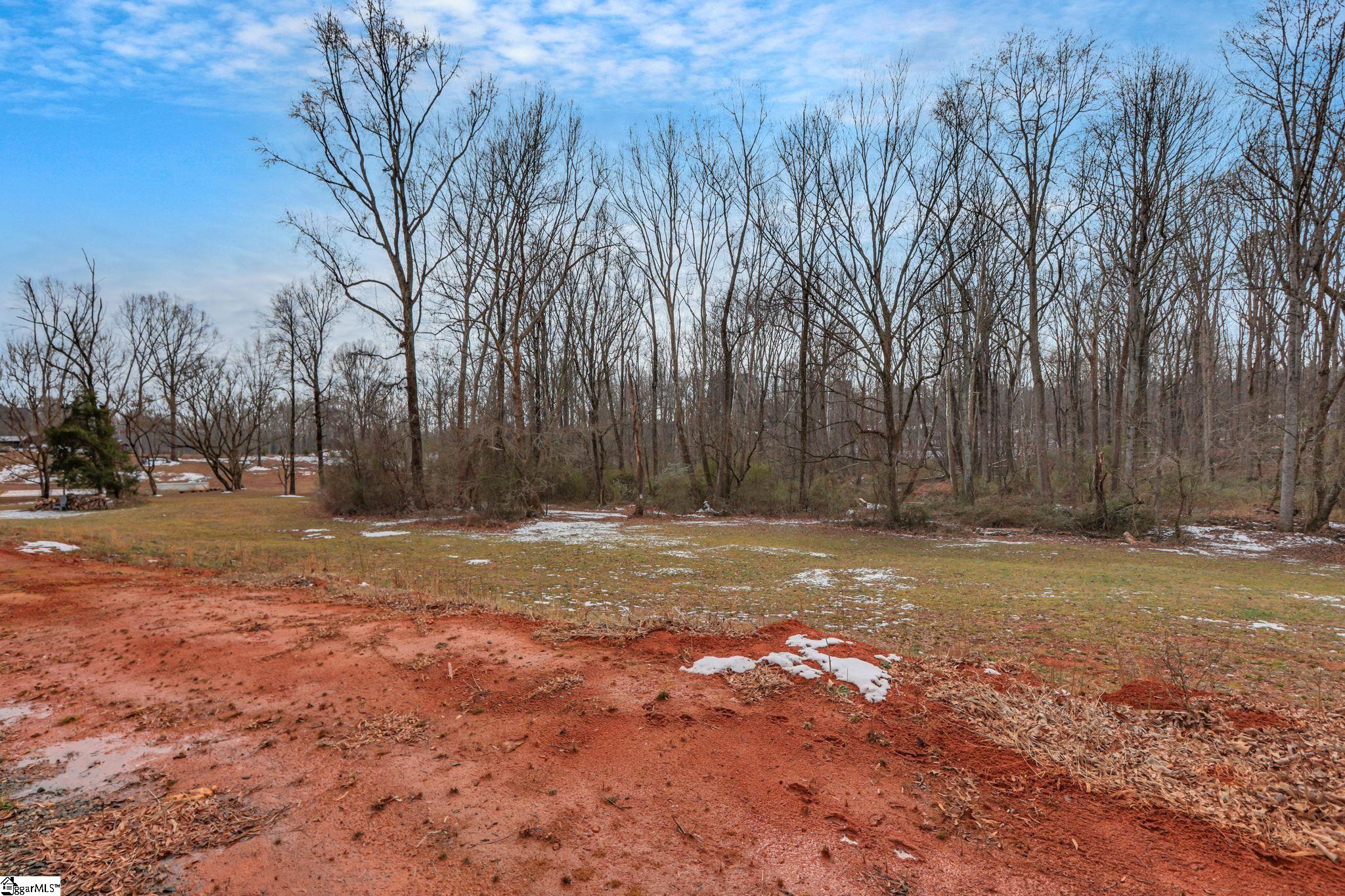 536 Old Mill Road Campobello, SC 29322 - Photo 22 of 49