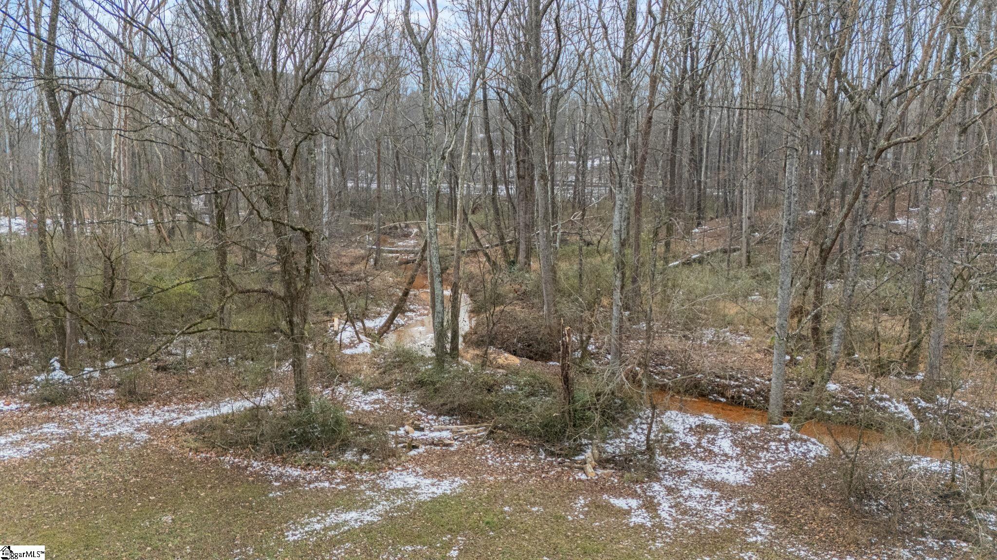 536 Old Mill Road Campobello, SC 29322 - Photo 23 of 47