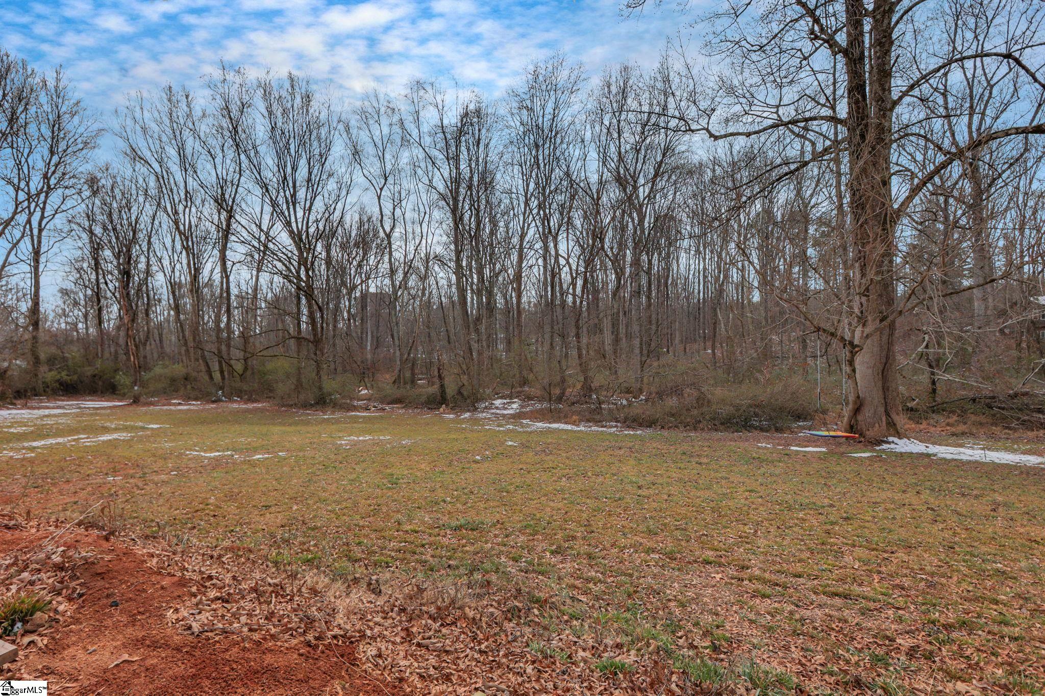 536 Old Mill Road Campobello, SC 29322 - Photo 23 of 49